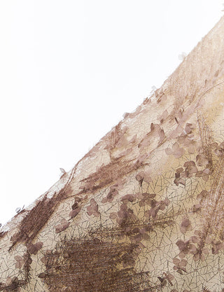 Fine Feathers・TP2521-BRN