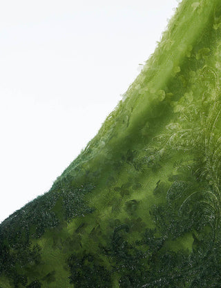 Fine Feathers・TP2521-LFGN