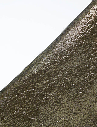 Fine Feathers・TP2535-BKGD