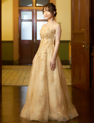 TWEED DRESS(ツイードドレス)のゴールドロングドレス・チュール|TN2015-GDの全身斜め画像です。