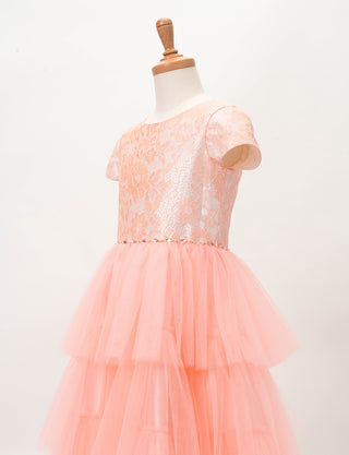 TWEED KIDS・TK81820-SHPK