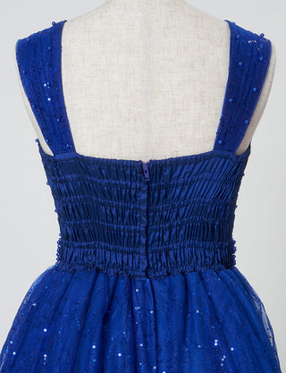 TWEED GIRL(ツイードガール)のロイヤルブルーロングドレス・スパンコールチュール|TWJ9101-RBLのトルソー上半身背面画像です。