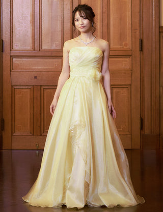 TWEED DRESS(ツイードドレス)のペールイエローロングドレス・オーガンジー/チュール｜TB1735-PYWの全身正面画像です。