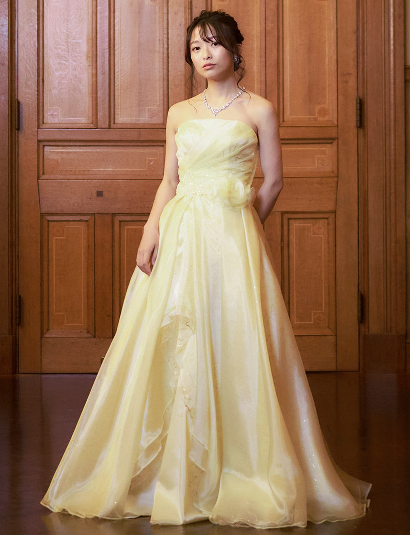 TWEED DRESS(ツイードドレス)のペールイエローロングドレス・オーガンジー/チュール｜TB1735-PYWの全身正面画像です。