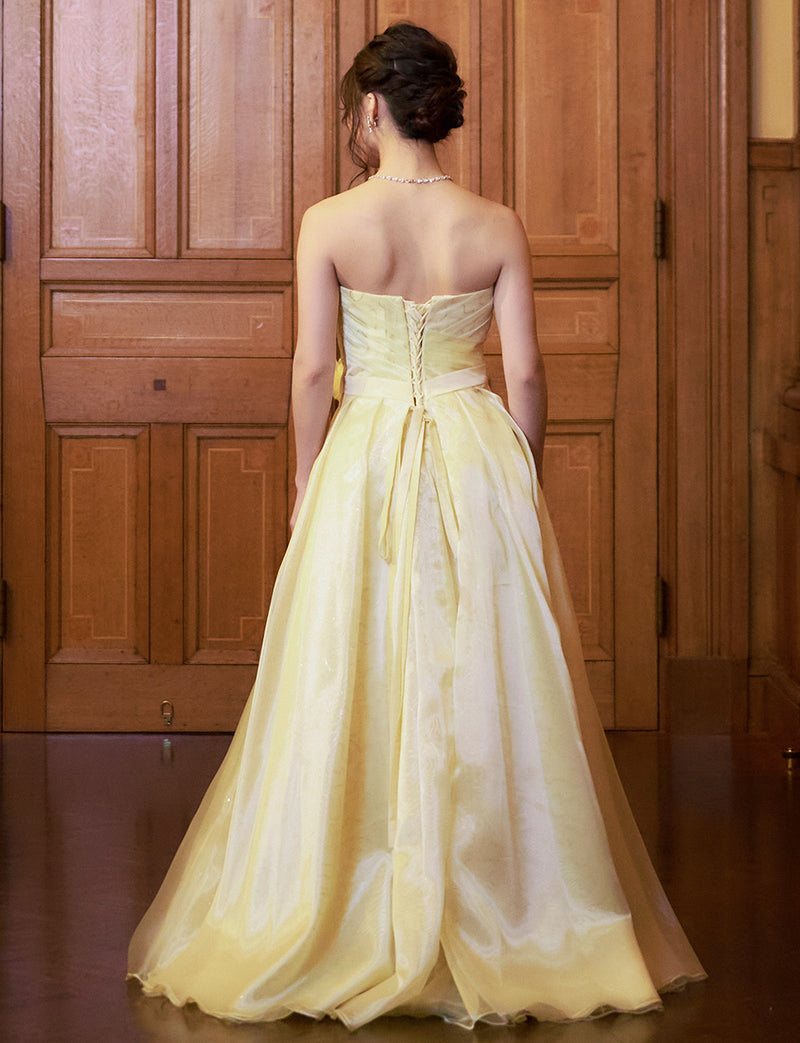 TWEED DRESS(ツイードドレス)のペールイエローロングドレス・オーガンジー/チュール｜TB1735-PYWの全身背面画像です。
