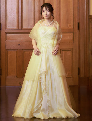 TWEED DRESS(ツイードドレス)のペールイエローロングドレス・オーガンジー/チュール｜TB1735-PYWの全身正面ストール着用画像です。