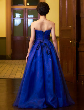 TWEED DRESS(ツイードドレス)のロイヤルブルーロングドレス・オーガンジー/チュール｜TB1735-RBLの全身背面画像です。