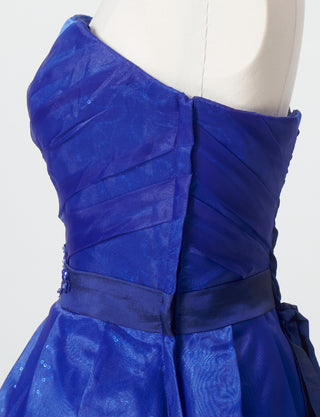 TWEED DRESS(ツイードドレス)のロイヤルブルーロングドレス・オーガンジー/チュール｜TB1735-RBLのトルソー上半身側面画像です。