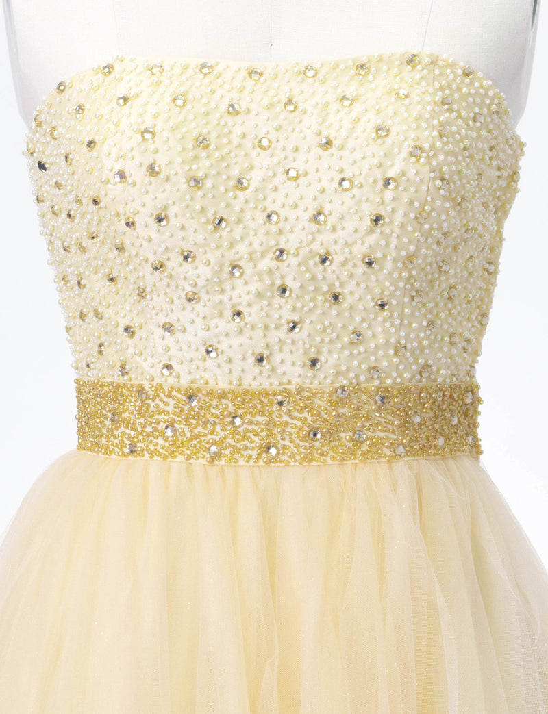 TWEED DRESS(ツイードドレス)のシャンパンゴールドロングドレス・チュール｜TD1852-CGDのトルソー上半身正面画像です。