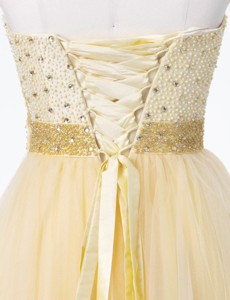 TWEED DRESS(ツイードドレス)のシャンパンゴールドロングドレス・チュール｜TD1852-CGDのトルソー上半身背面画像です。