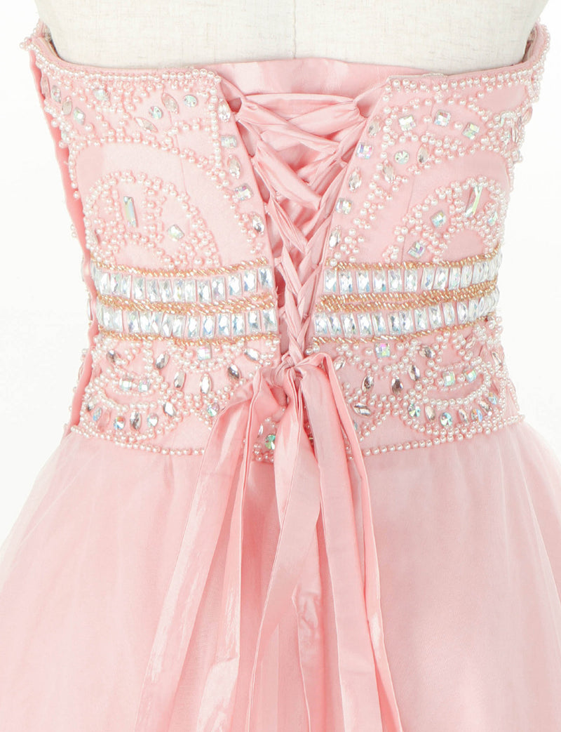 TWEED DRESS(ツイードドレス)のペールピンクロングドレス・チュール｜TM1602-PPKのトルソー上半身背面画像です。
