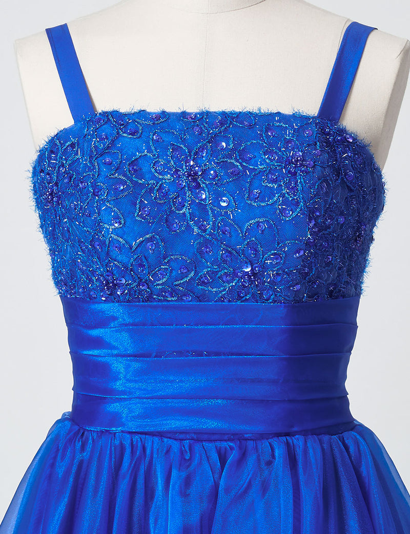 TWEED DRESS(ツイードドレス)のロイヤルブルーロングドレス・オーガンジー｜TM1675-RBLのトルソー上半身正面画像です。