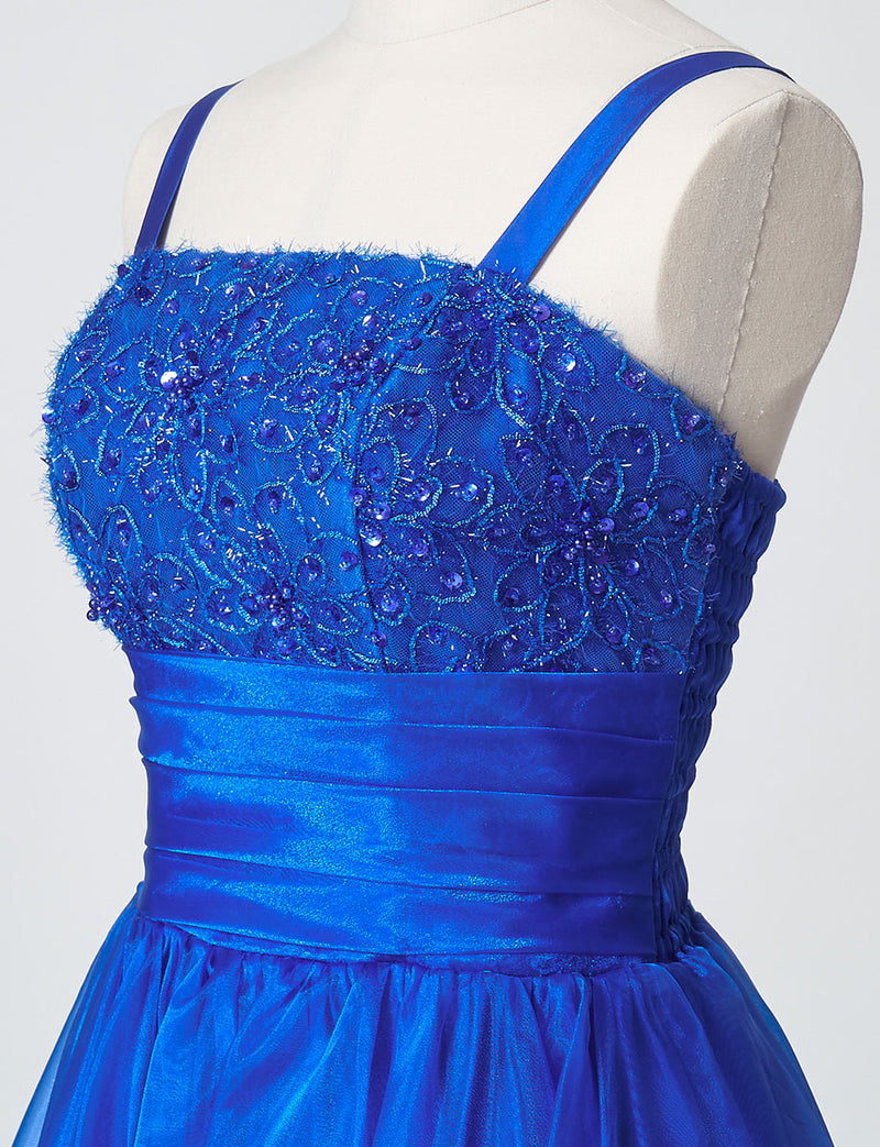 TWEED DRESS(ツイードドレス)のロイヤルブルーロングドレス・オーガンジー｜TM1675-RBLのトルソー上半身斜め画像です。