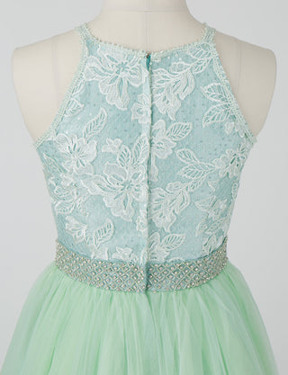 TWEED DRESS(ツイードドレス)のペールミントロングドレス・チュール｜TN2002-PMTのトルソー上半身後ろ画像です。