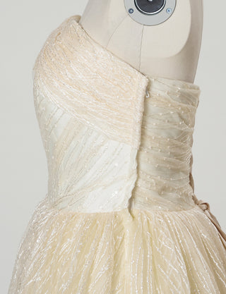TWEED DRESS(ツイードドレス)のシャンパンゴールドロングドレス・チュール｜TN2009-CGDのトルソー上半身側面画像です。