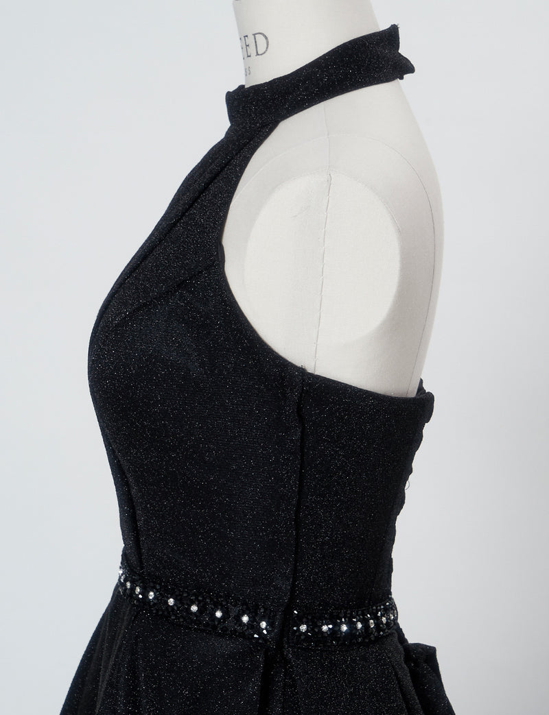 TWEED DRESS(ツイードドレス)のブラックロングドレス・グリッター生地｜TN2013-BKのトルソー上半身側面画像です。