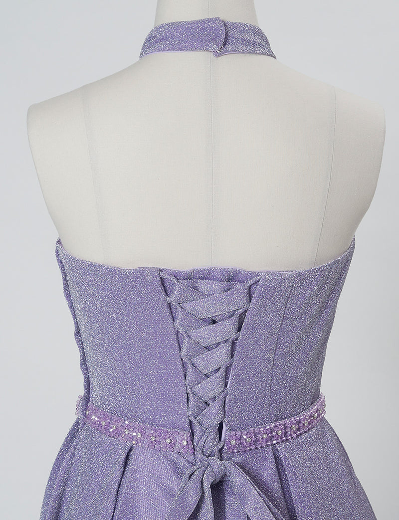 TWEED DRESS(ツイードドレス)のパープルグレーロングドレス・グリッター生地｜TN2013-PEGYのトルソー上半身背面画像です。