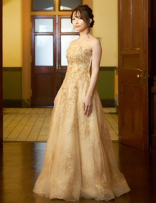 TWEED DRESS(ツイードドレス)のゴールドロングドレス・チュール｜TN2015-GDの全身斜め画像です。