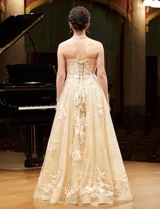 TWEED DRESS(ツイードドレス)のシャンパンゴールドロングドレス・チュール｜TN2024-CGDの全身背面画像です。
