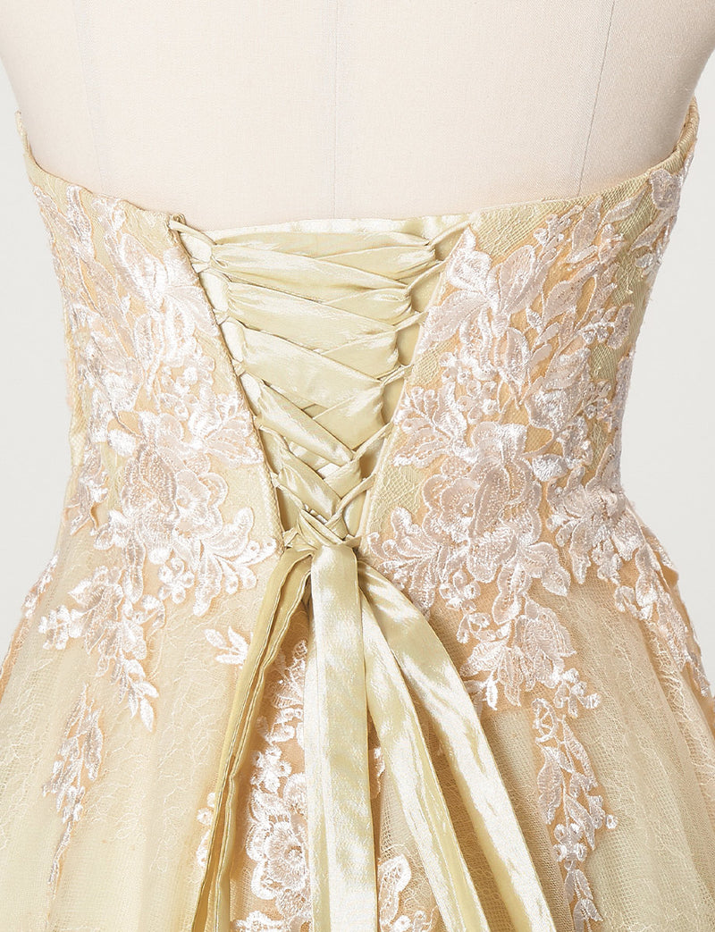 TWEED DRESS(ツイードドレス)のシャンパンゴールドロングドレス・チュール｜TN2024-CGDのトルソー上半身背面画像です。