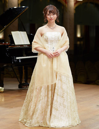 TWEED DRESS(ツイードドレス)のシャンパンゴールドロングドレス・チュール｜TW1904-CGDの全身正面ストール着用画像です。