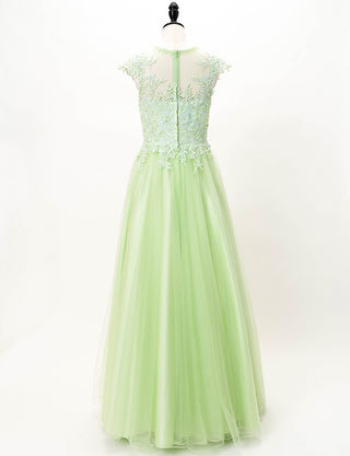 TWEED DRESS(ツイードドレス)のペールグリーンロングドレス・チュール｜TW1925-PGNのトルソー全身背面画像です。