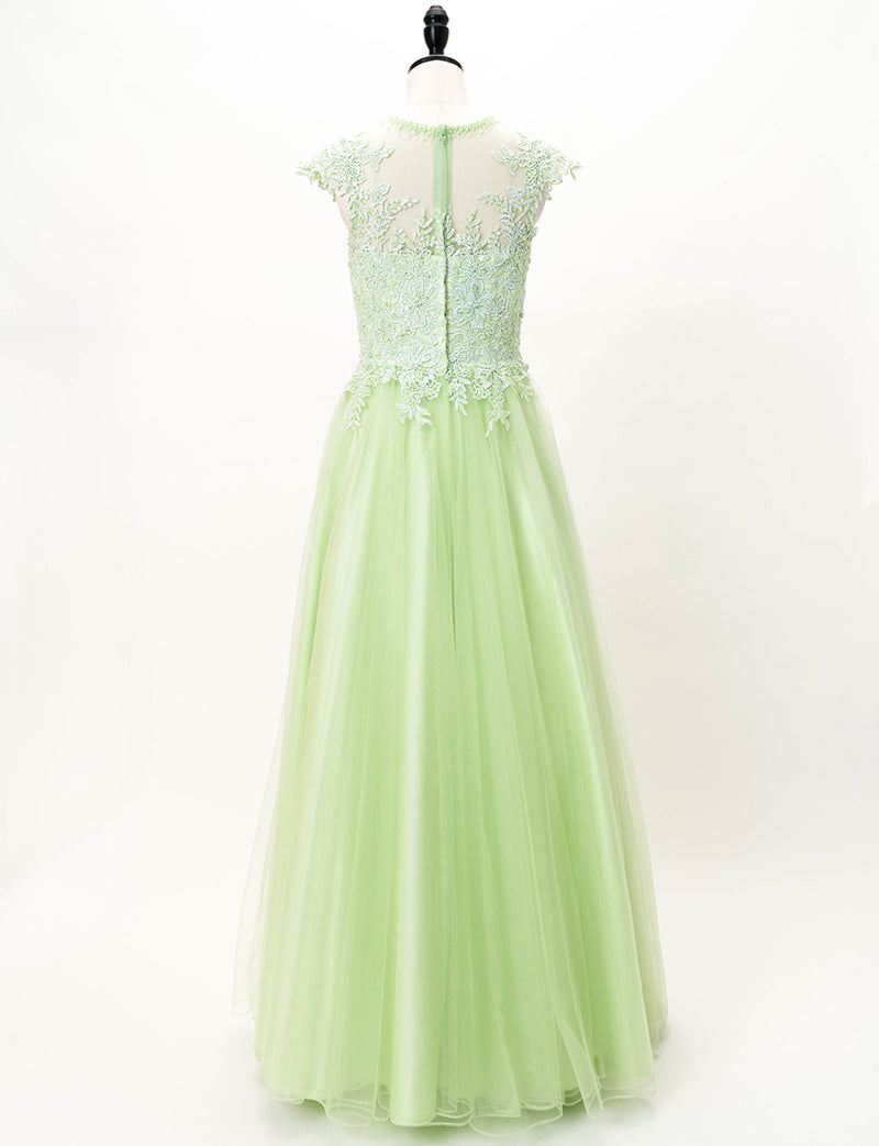 TWEED DRESS(ツイードドレス)のペールグリーンロングドレス・チュール｜TW1925-PGNのトルソー全身背面画像です。