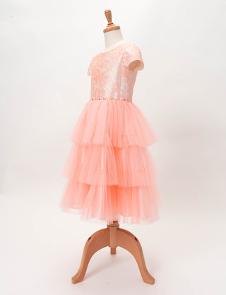 TWEED KIDS・TK81820-SHPK