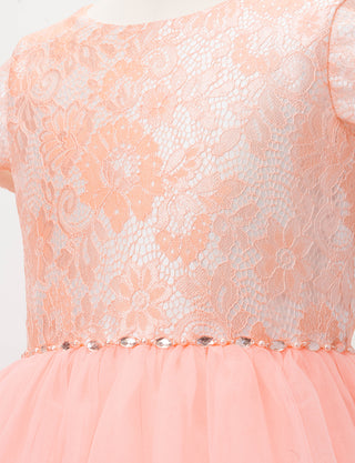 TWEED KIDS・TK81820-SHPK